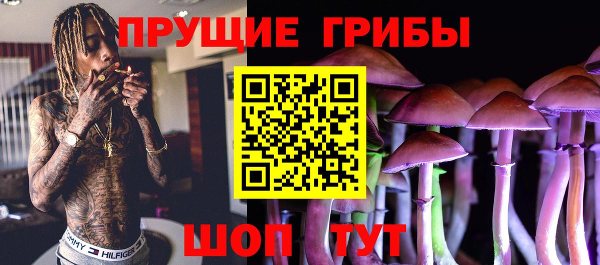 Галлюциногенные грибы прущие грибы Архангельск