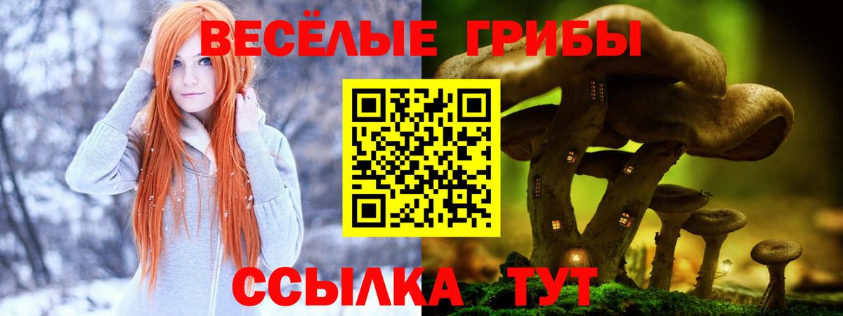 Архангельск  Галлюциногенные грибы Magic Shrooms  Вход с VPN 